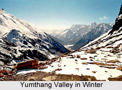Yumthang Valley, Sikkim