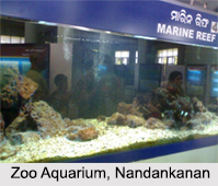 Aquaria in India