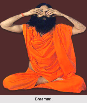 Yoga for Psoriasis, Yoga and Health