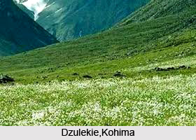 Tourism In Nagaland
