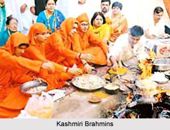 Origin of Kashmiri People