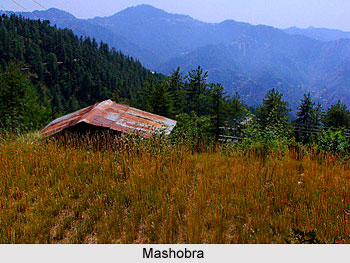Tourist Places around Shimla