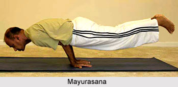 Impact of Yoga On Endocrine System