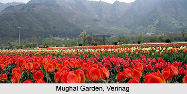 Verinag, Jammu and Kashmir