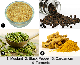 Aryan Influence on Indian Food