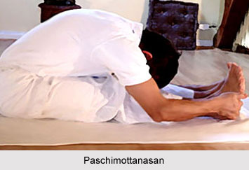 Yoga For Varicose Veins