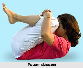 Impact of Yoga on Excretory System