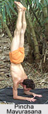 Yoga Regimens for the Athletes