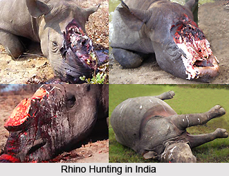 Hunting in India