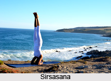 Impact of Yoga Asanas on Respiratory System
