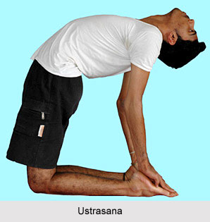 Yoga for Heart, Yoga and Health