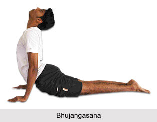 Impact of Yoga on Digestive System