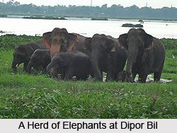 Dipor Bil, Kamrup District, Assam