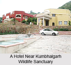 Kumbhalgarh Wildlife Sanctuary, Sanctuary in Rajasthan