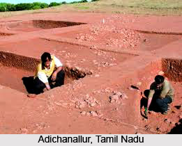 History Of Archaeology In India