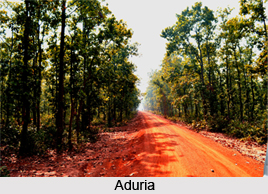 Nature Tourism in West Bengal
