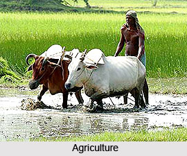 History of Indian Villages