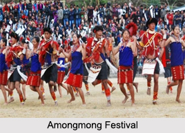 Festivals of Nagaland