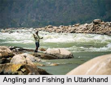 Water Sports in India, Adventure Sport