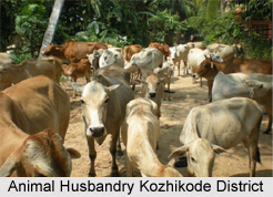 Kozhikode District , Kerala