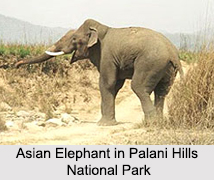 National Parks of South India