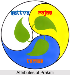 Samkhya Philosophy