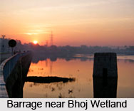 Bhoj Wetland, Bhopal, Madhya Pradesh