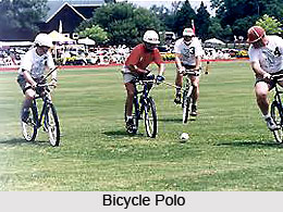 Types of Polo