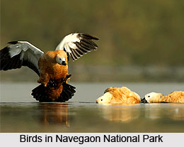 National Parks of West India