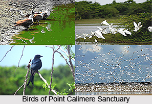 Tourism in Nagapattinam District
