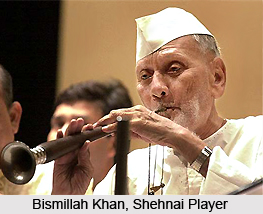 Indian Classical Instrumentalists