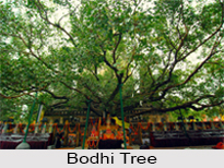 Mahabodhi Temple, Bodh Gaya
