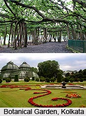 Developments in Botany, British India