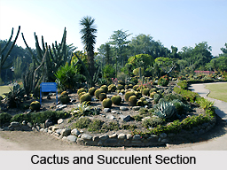 Botanical Garden and Nature Park, Chandigarh