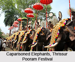 Temple Festivals of Kerala