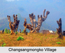 Tuensang District, Districts of Nagaland, States of India