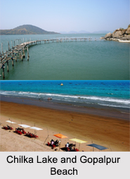Odisha, Indian State