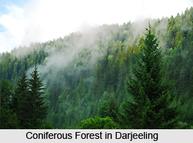 Geography Of Darjeeling District, West Bengal