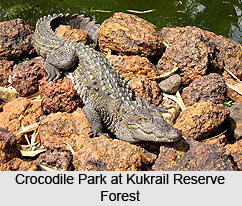 Reserved Forests in India