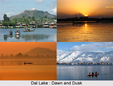 Srinagar,Jammu & Kashmir
