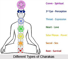 Concept of Mudras