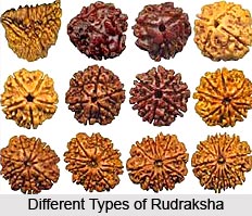 Rudraksha for Health and Self Empowerment
