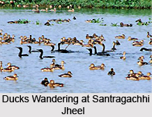 Howrah, West Bengal