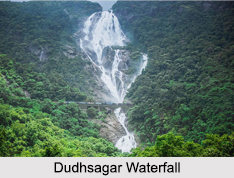 Bhagwan Mahavir Sanctuary, Molem, Goa