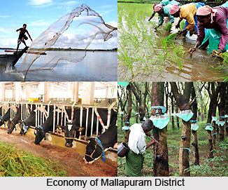 Mallapuram District , Kerala