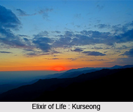 Kurseong, Darjeeling