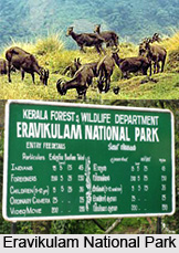 Visiting Places In and Around Munnar