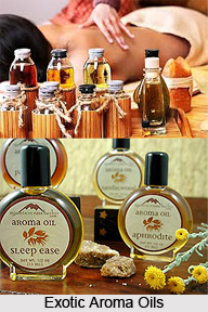 Properties of Aromatherapy Oils