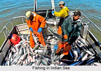 Maritime Security of India, Geography of India