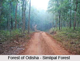 Hilly and Forest areas, Indian Sub Continent